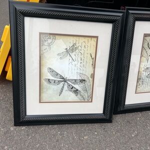 Framed Dragonfly Art Prints